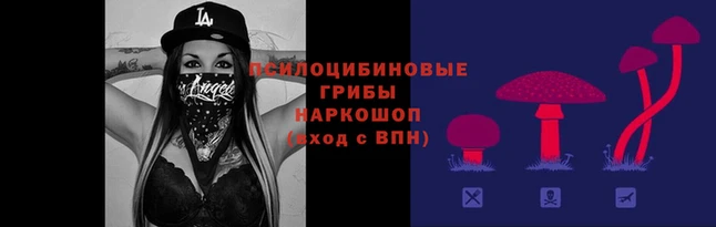 ГАЛЛЮЦИНОГЕННЫЕ ГРИБЫ Армянск