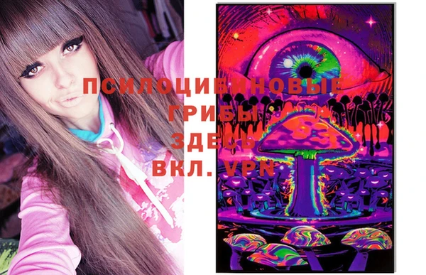 apvp Балахна